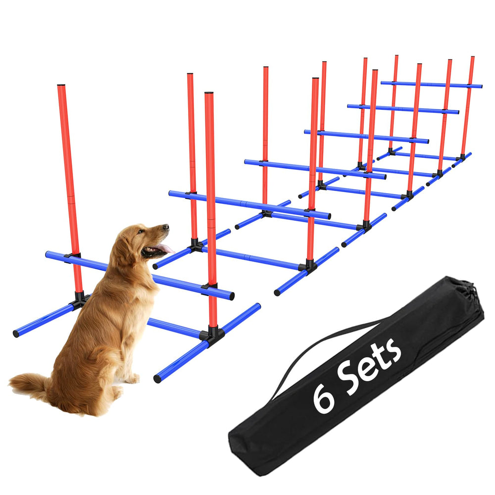 Uzpomel ensemble 6 sauts en action pour l'agilité canine