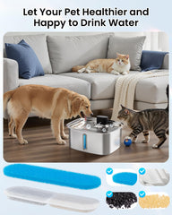 Vacqueen 8 filtres inclus pour eau propre au quotidien.