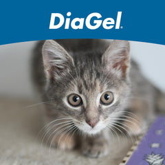 DiaGel chatons: soutien digestif quotidien grâce à des ingrédients naturels et sûrs.