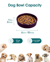 Bol chien céramique base stable Vancasso évite les renversements.