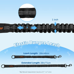 VavoPaw Extenseur Bungee absorbe les chocs lors des tirages du chien.