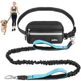VavoPaw laisse mains libres avec ceinture pour des balades sans encombre et en détente.