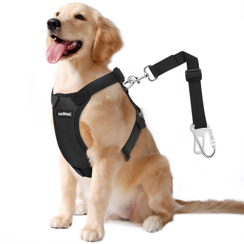 Harnais sécurité VavoPaw pour chien en voiture, voyage plus sûr et confortable.