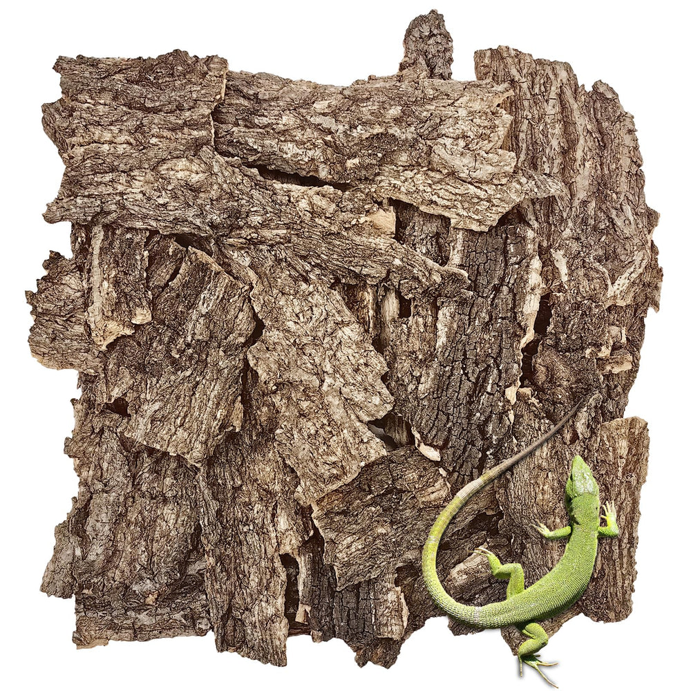 VCEPJH écorce liege naturelle 2lb pour terrarium sûr et confortable