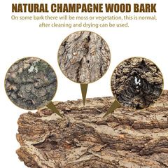 VCEPJH texture authentique ecorce liege pour reptiles