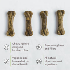 V-dog Breathbone graines de chia pour dents et os