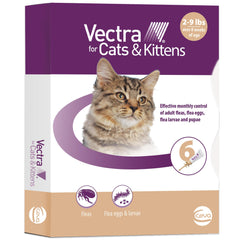 Vectra Chat: bouteille avec embout-applicateur rond pour une application précise sur la peau.