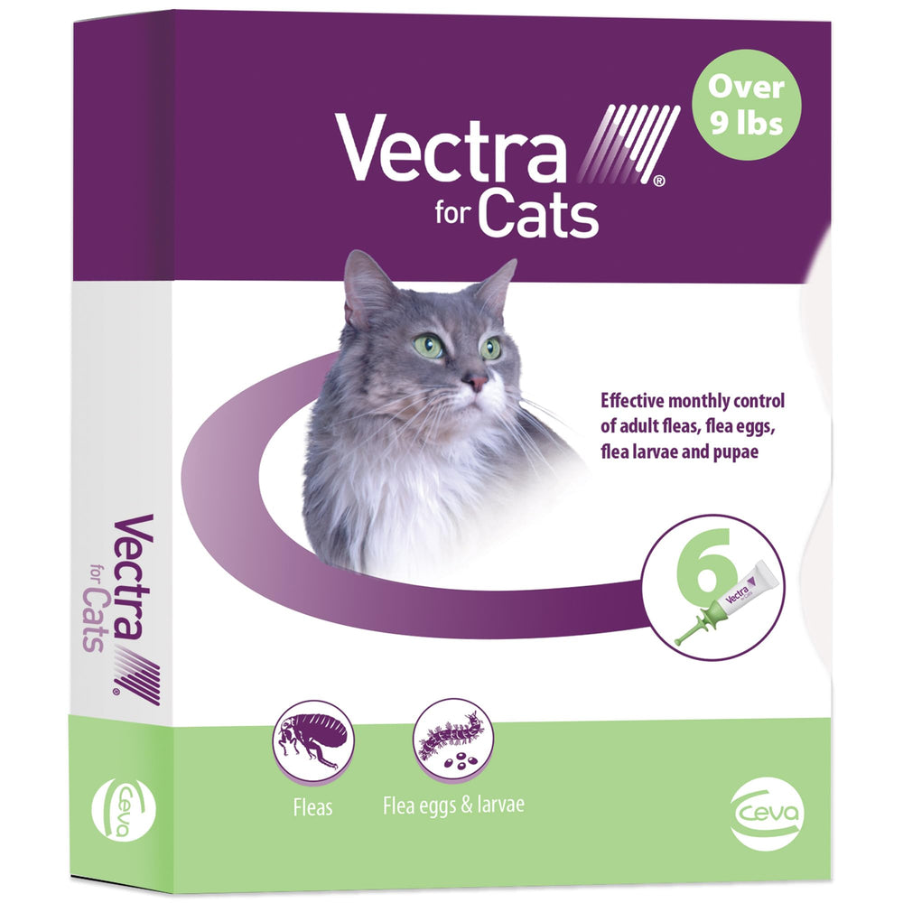 Vectra Chat Grand – bouteille et applicateur arrondi facilitant l’application.