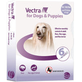 Vectra pour chiens grands, bouteille d'application prête pour le traitement mensuel anti-puces.