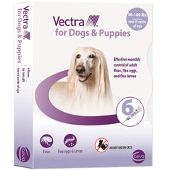 Vectra pour chiens grands, bouteille d'application prête pour le traitement mensuel anti-puces.
