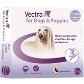 Vectra pour chiens et chiots : bouteille de traitement mensuel prête à l’emploi.