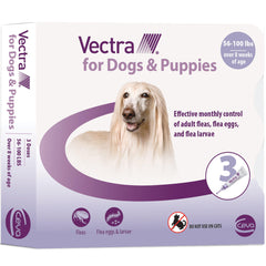 Vectra pour chiens et chiots : bouteille de traitement mensuel prête à l’emploi.
