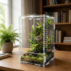 Veectgoo enceinte arachnide front ouvert, observation facile et sécurisée.