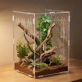 Veectgoo Enclos Tarantula 8x8x12 avec ouverture frontale pour un accès facile.