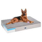 Veehoo lit orthopédique en mousse à mémoire de forme 52x36, soutien articulations.