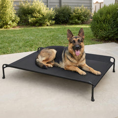 Veehoo lit chien surélevé avec support-tête pour un repos plus confortable.