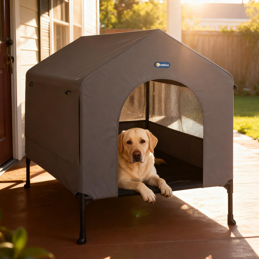 Niche pour chien Veehoo 41 pouces, vue générale et confort.
