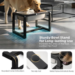 Support élevé Veehoo à 31 cm, adapté pour chiens de grande taille