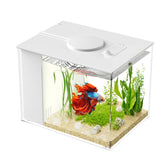 Vue de près du Vehipa aquarium 3-7l, parfait pour un bureau ou une étagère.