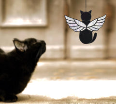 Velasyart ange-chat-verre-ailes-arc-en-ciel, reflet lumineux dans la fenêtre.