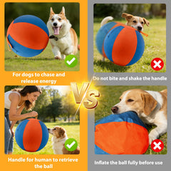 Velupet Zoom balle d'herding double couche, résistance accrue pour jeux vigoureux.