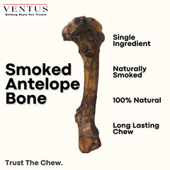 Ventus os d’antilope fumée, gros plan sur texture ferme adaptée au mâchage.