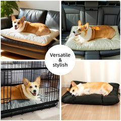 VERABE lit chien moyen, tissu oxford imperméable et nettoyage facile.