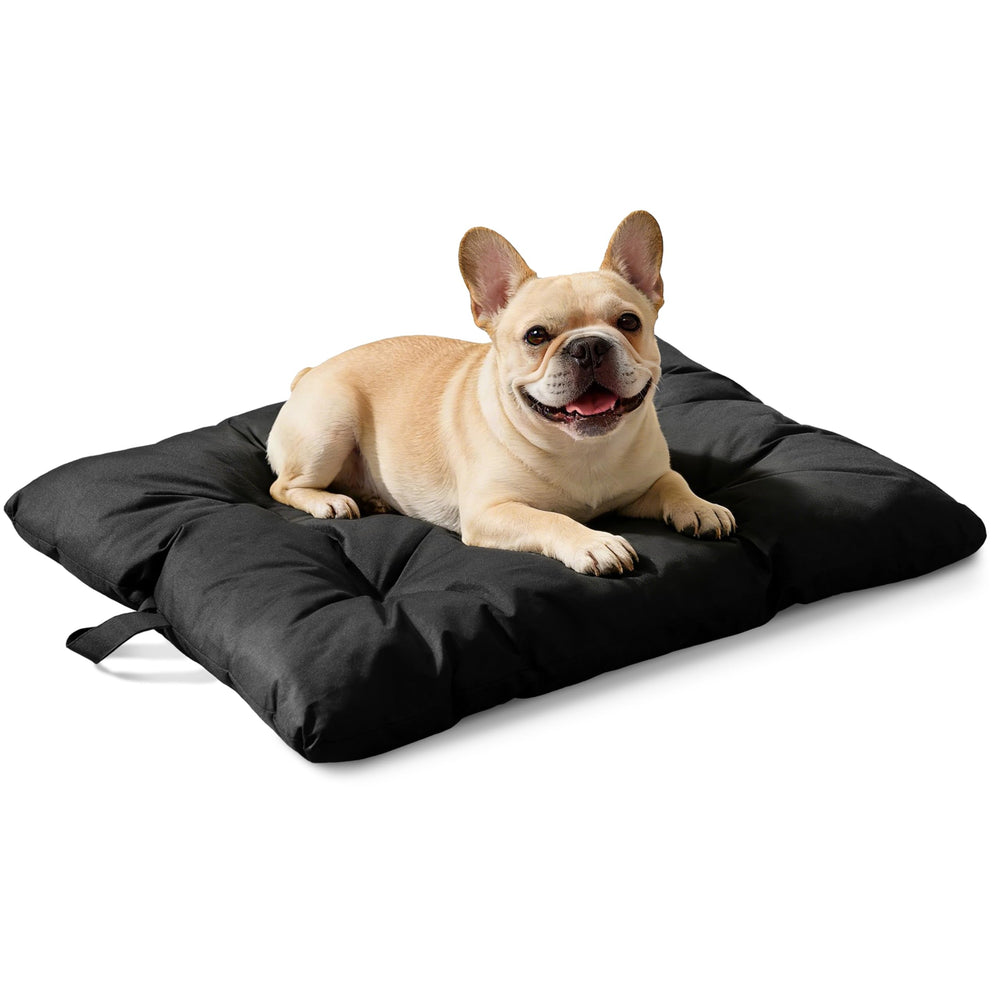 VERABE lit-chien résistance-mâchouage 35x22, idéal pour chiens moyens et morsure persistante.