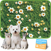 Verdasun: tapis lavables pour chiens absorbants, idéal pour l'entraînement et les accidents.