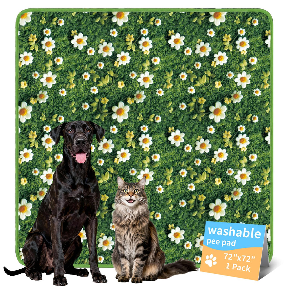 Verdasun Tapis-pipi ensemble pour apprentissage de la propreté, sans fuite.