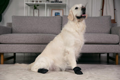 Versa Vine bottes pour chien: confort renforcé et ajustement rapide pour les activités.
