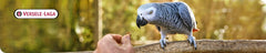 VL Goldenfeast Amazon Blend présentation quotidienne pour amazones et autres perroquets