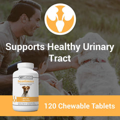 Vet Classics tablettes masticables – utilisation quotidienne pour le contrôle urinaire du chien.