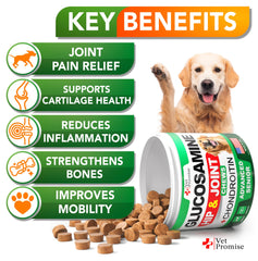 Vet Promise bouchées glucosamine pour chien senior, mobilité améliorée.