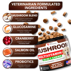 Bouchées Vet Promise pour l'immunité chien, associant champignons et probiotiques.