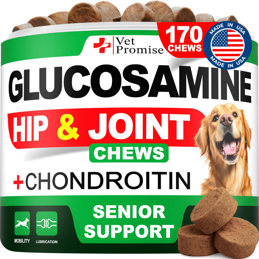 Vet Promise bouteille glucosamine pour chien, soutien articulations.