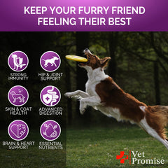 Vet Promise Chien Peau Poil Brillance : peau saine et pelage brillant