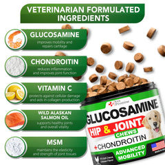 Vet Promise glucosamine pour chien – soutien du cartilage et flexibilité.