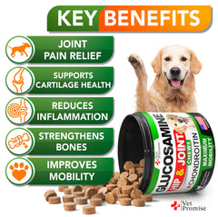 Gommes Vet Promise Glucosamine pour chien, détails d'ingrédients pour le confort articulaire.