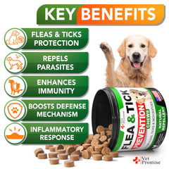 Vet Promise ingrédients naturels pour prévention des parasites chez le chien.