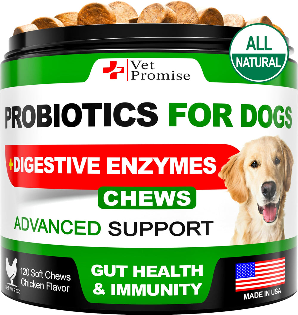Vet Promise Probiotiques Chien – bouteille, soutien digestif potentiel