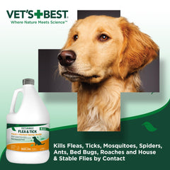 Vet's Best ingrédients naturels menthe poivrée et eugénol – formulation sûre