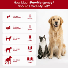 Vetanica PawMergency : formulation charbon actif et kaolin pour soutien digestif.