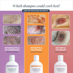 Mousse du Shampoing Veterinary Formula Clinical Care assure une application facile.