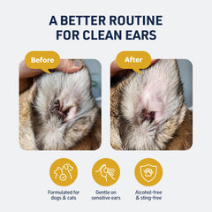 Goutte prête à l’emploi de Veterinary Formula Ear Therapy pour nettoyer l’oreille.