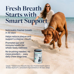 Friandise Veterinary Formula Smart Vitality, moelleuse et pratique pour l'hygiène dentaire.