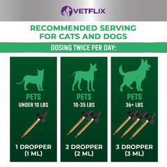 Vetflix Toux Relief - Pipette doseuse en main, administration pratique pour petits et grands chiens.