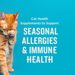 VetIQ Allergy Pro+ Lysine immunité chat, soutien potentiel contre irritants saisonniers.