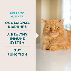VetIQ Probiotique pour chat, dose pré-mesurée — dosage précis dans chaque sachet.