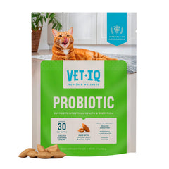 VetIQ Chat Probiotiques en bouteille, soutien digestif potentiel pour les chats.